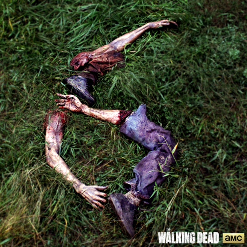 Walking Dead Season 6 8